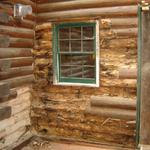 log home repair, water and termite damage
