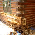 log corner section, water and termite damage