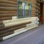 new pine logs